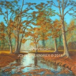 New Forext Morning, Ober Water